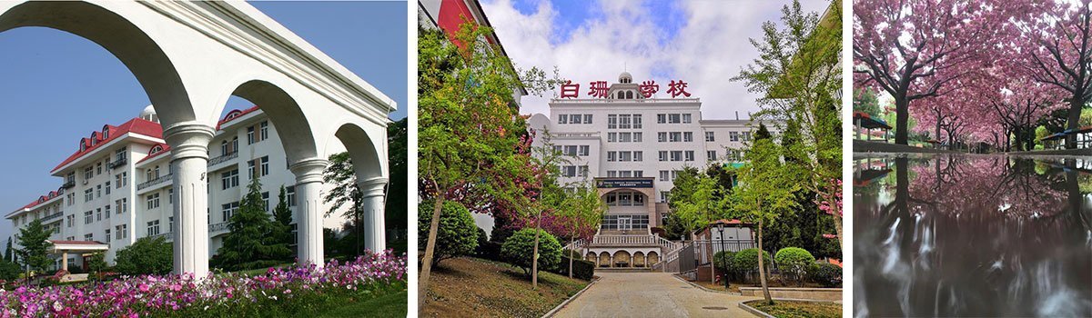 international department > admissions_青岛白珊||.